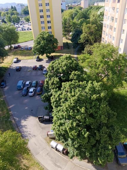 PRENAJATÉ  1 - izbový byt