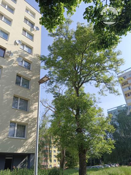 PRENAJATÉ  1 - izbový byt