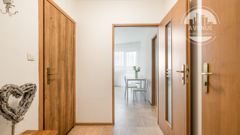 1- izbový zariadený byt s terasou