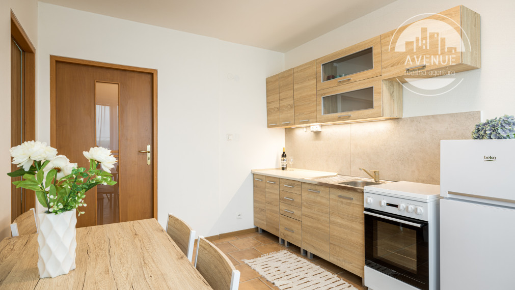 1- izbový zariadený byt s terasou