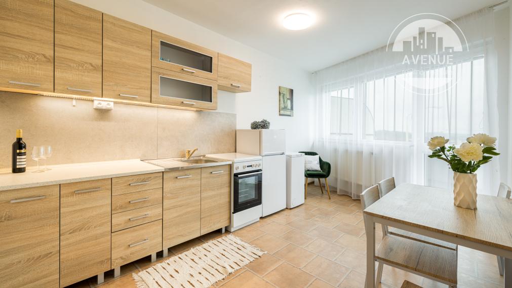 1- izbový zariadený byt s terasou