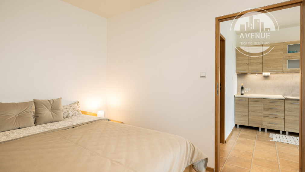 1- izbový zariadený byt s terasou