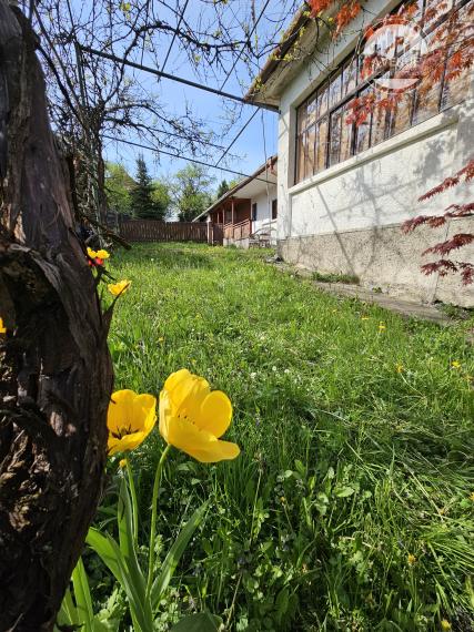 PREDANÉ - Rodinný dom s typickou zemplínskou architektúrou