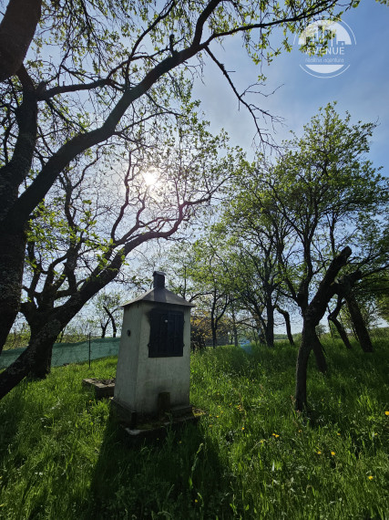 PREDANÉ - Rodinný dom s typickou zemplínskou architektúrou