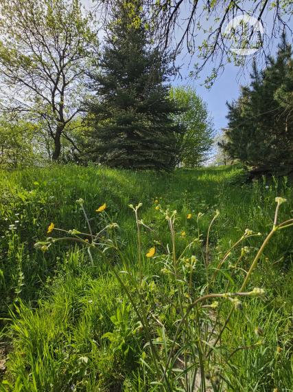 PREDANÉ - Rodinný dom s typickou zemplínskou architektúrou