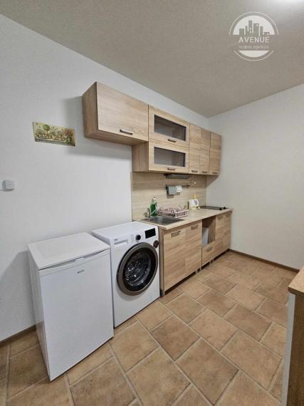 1 izbový byt s terasou na prenájom