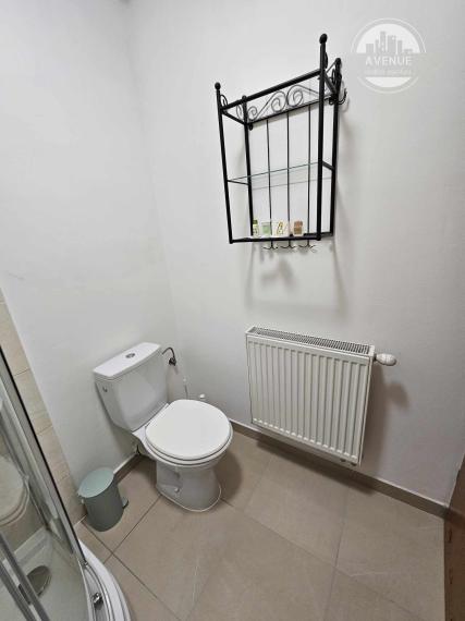 1 izbový byt s terasou na prenájom