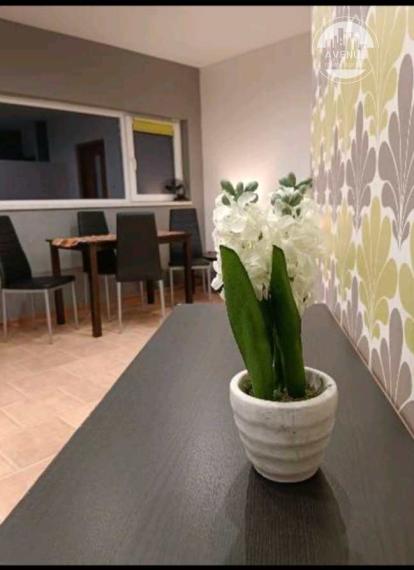 PRENAJATÉ - 1,5 izbový byt, ul. Vranovská - časť Nižná šebastová