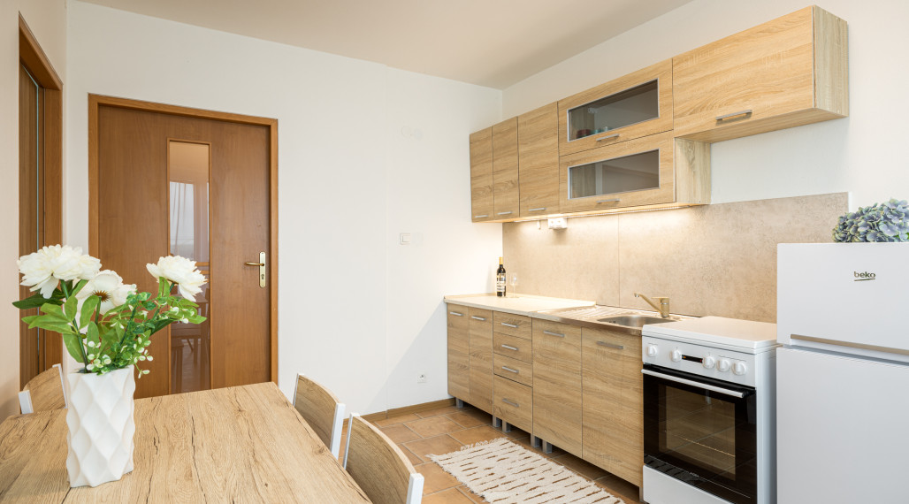 1- izbový zariadený byt s terasou