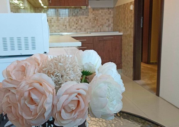 1 izbový zariadený byt , voľný od 1.4.2026